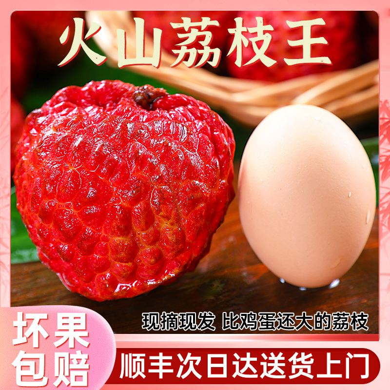 【山东专属】正宗海南火山口荔枝王 荔枝5斤新鲜水果当季大妃子火山口早熟荔枝同城配送次日达江浙次日达