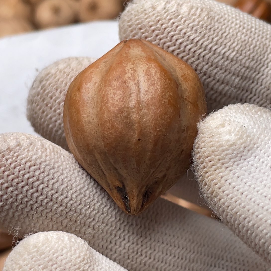 洋****橄榄核手串/手链1