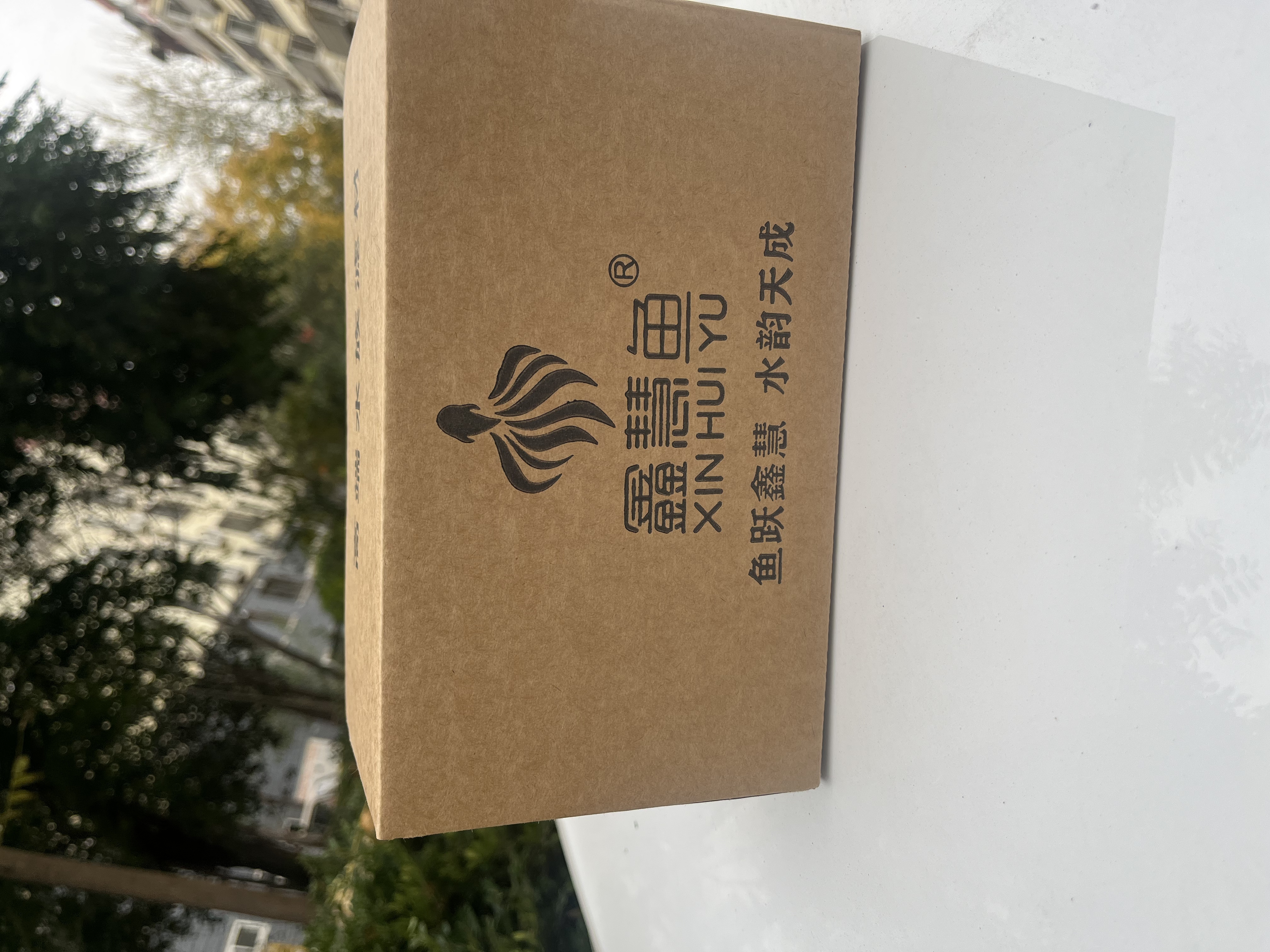 鱼缸过滤原矿培菌球快速培养硝化细菌滤材