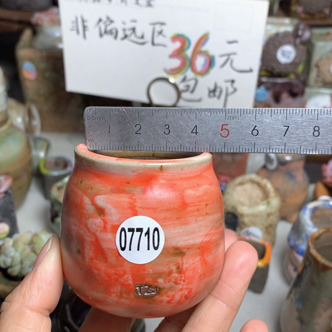 花盆拍5送一个小礼物