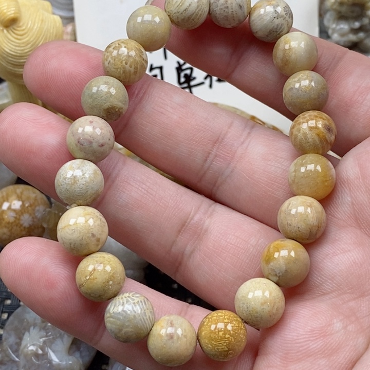 颈饰未镶嵌硅化珊瑚（珊瑚玉）