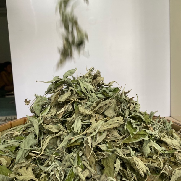 艾叶可泡水喝正宗新鲜艾叶家用方便