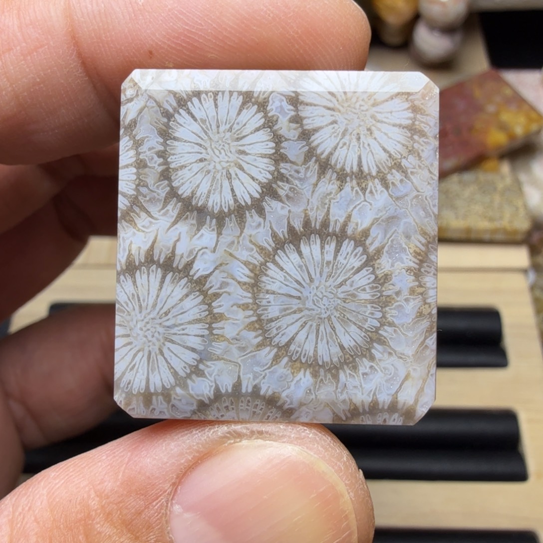 硅化玉未镶嵌纯天然色有机玉石保真色