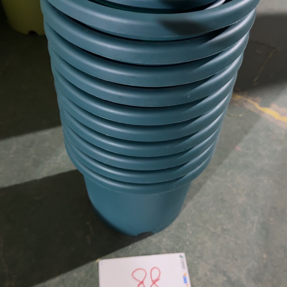 编号是88号的88号的