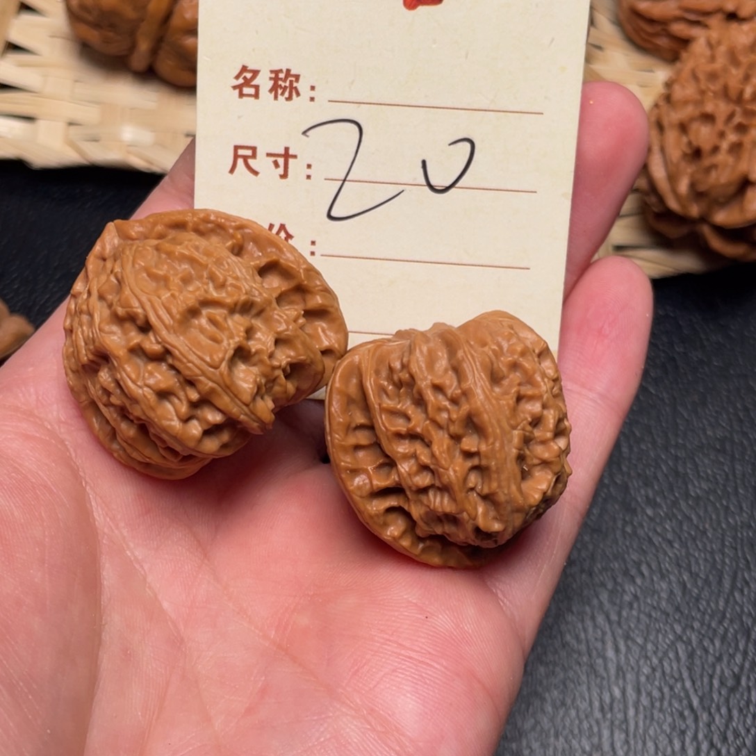 文玩核桃把件白狮子36尺20