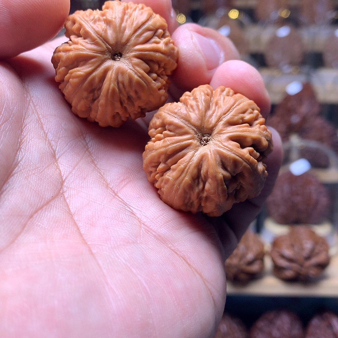 贾***堂把件文玩核桃东北楸子文玩核桃