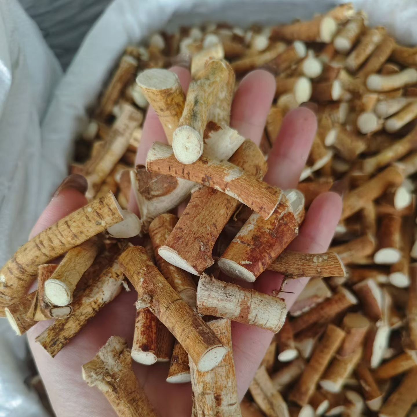 精选五指毛桃品质优良营养丰富