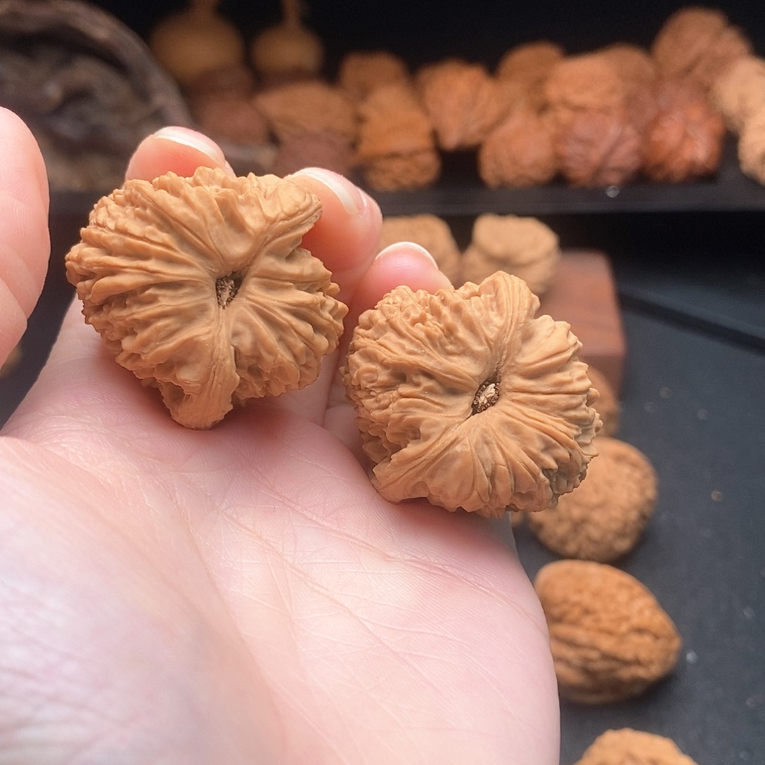 核桃其他卷边大高炮36➕