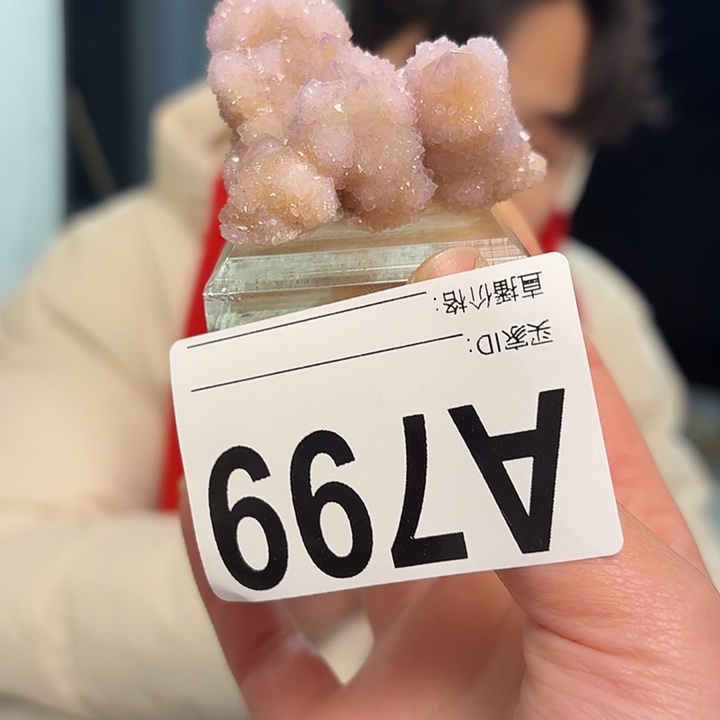 水晶仙人掌未镶嵌