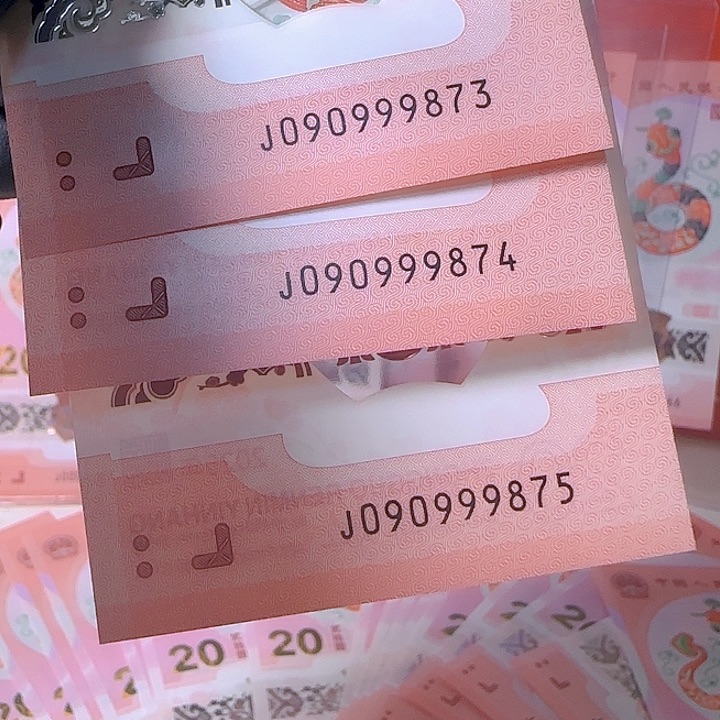 塑料用****7蛇钞3张尾9873到9875