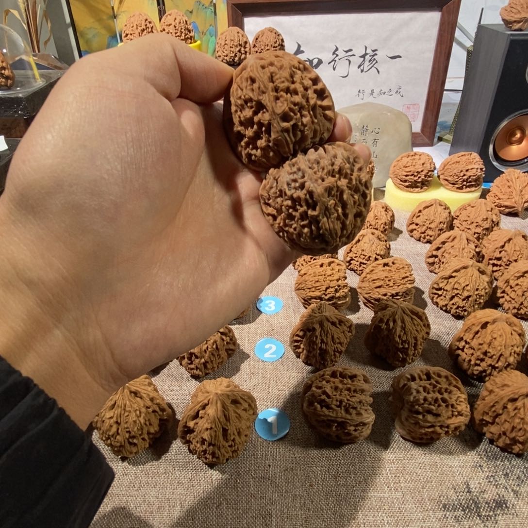 木质类一代南疆41加