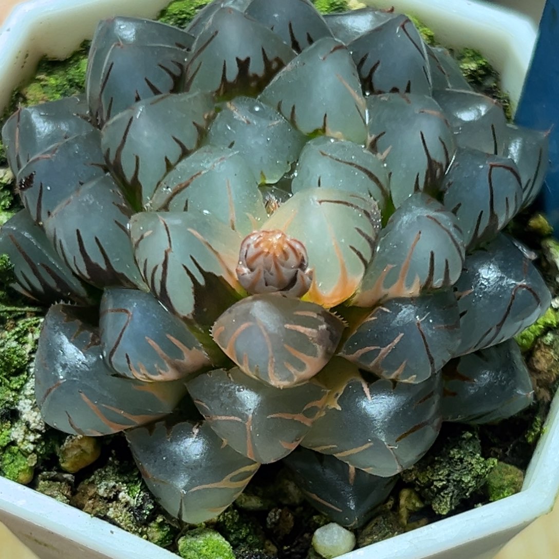 恭喜发财大吉大利0426