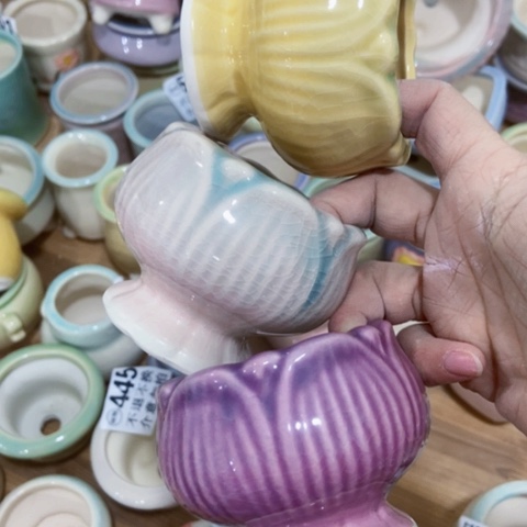 红陶陶瓷多肉花盆