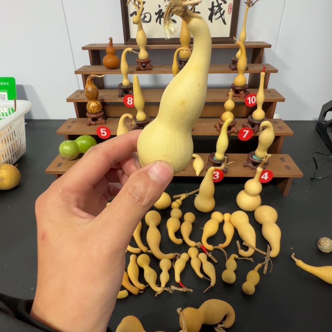 三***九大叶紫檀（黑酸枝木类）