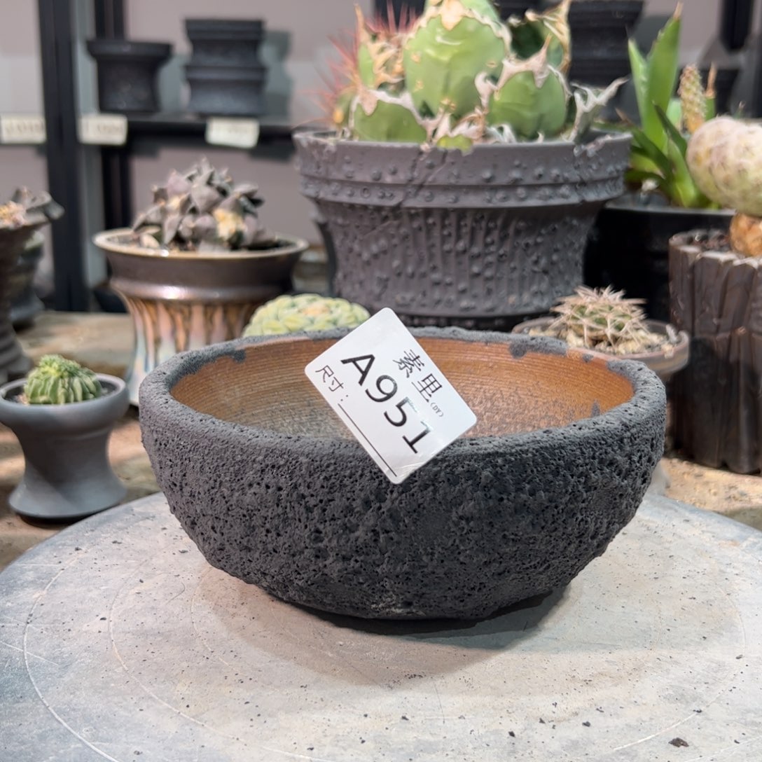 景德镇手工素里内口15.5高7