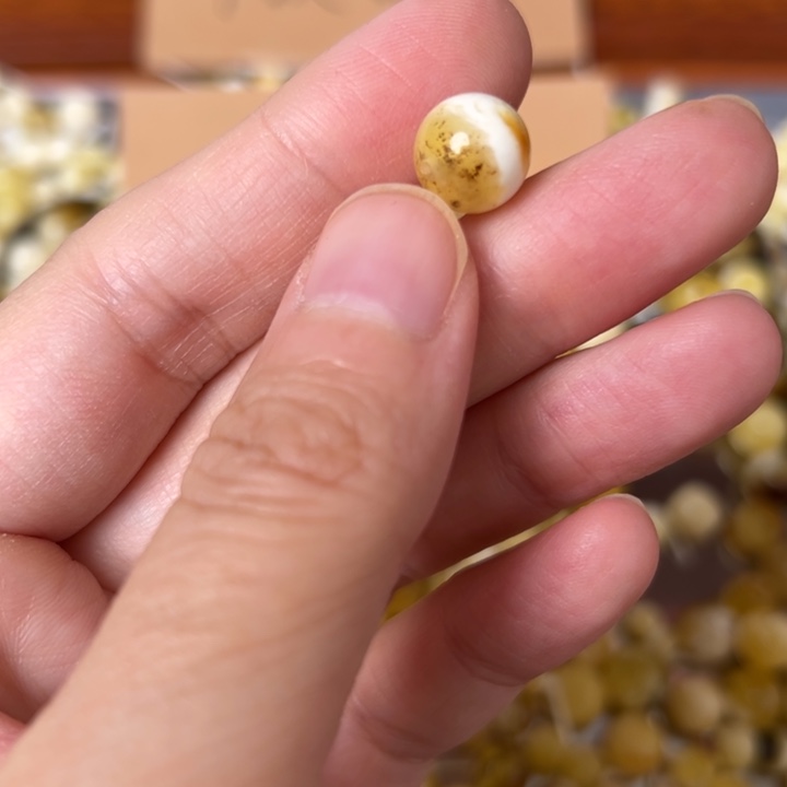 蜜蜡未镶嵌裸石9.7mm一个
