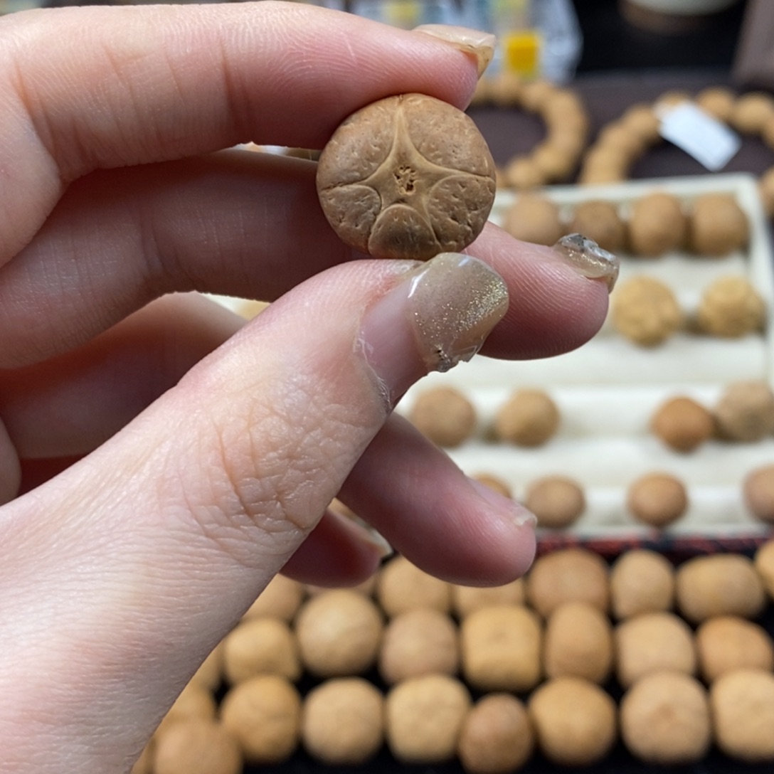 凤眼菩提吊坠五星上将16.9