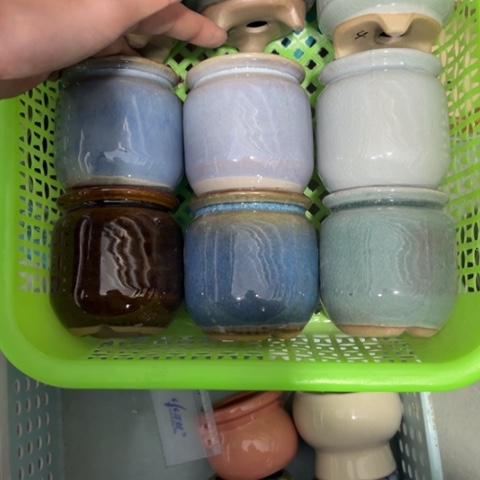 6［所有订单凑满15明天发］