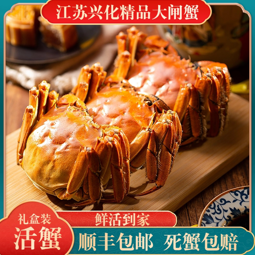 【活蟹】正宗兴化精品大闸蟹2.8-3.2两全母蟹8只礼盒装鲜活到家