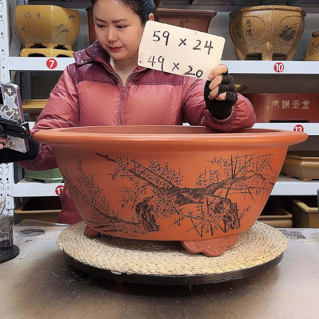 紫砂花盆紫砂花盆