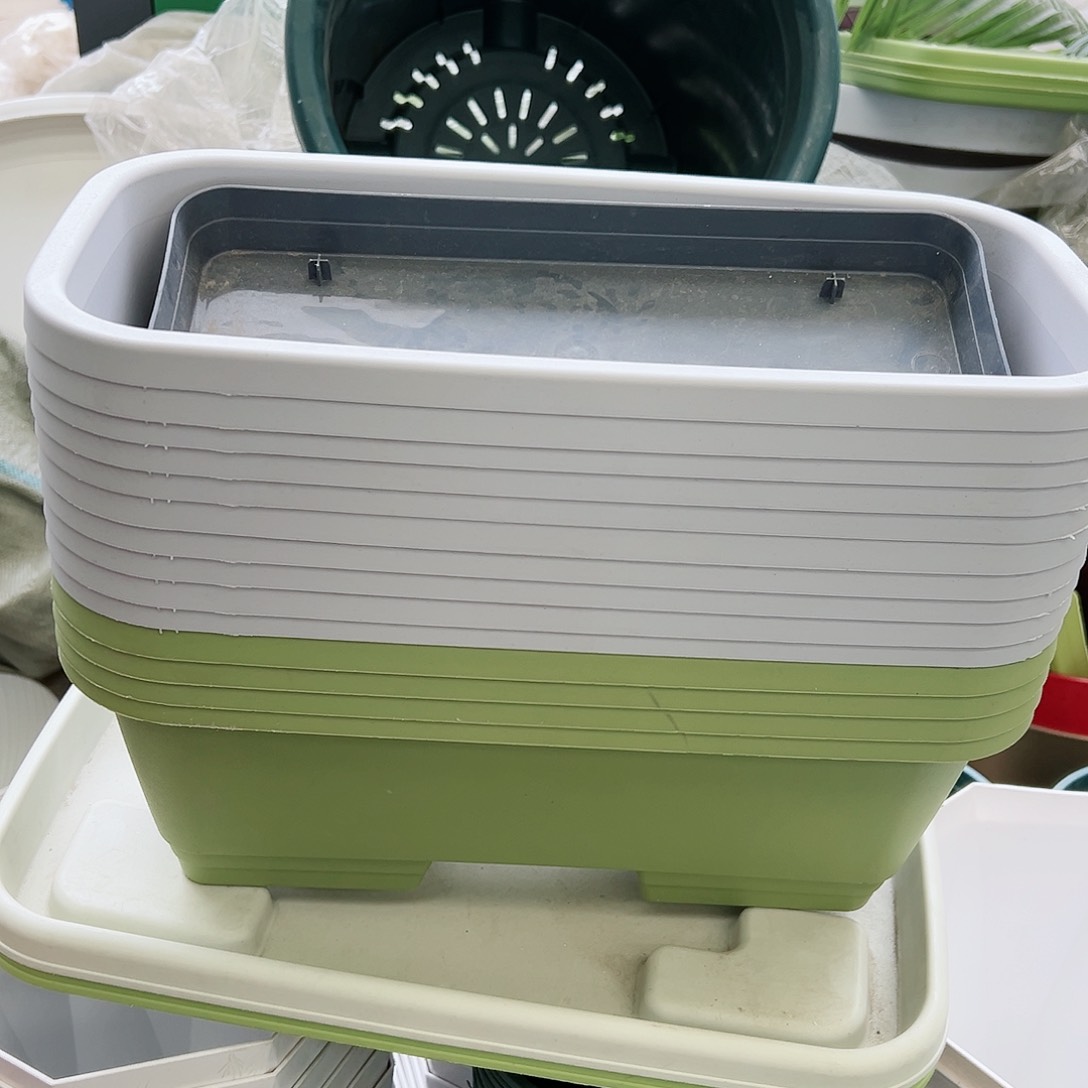 树脂菜盆40口果绿5个含托