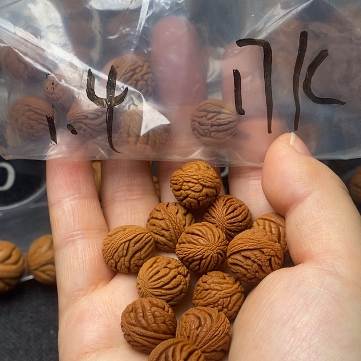 吊坠桃核秦岭山野生桃核