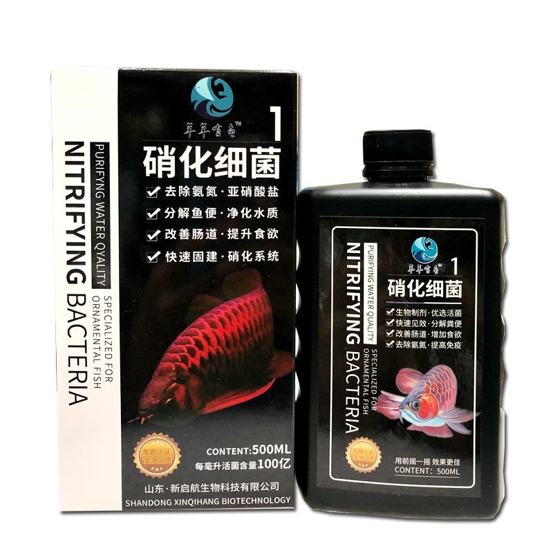 观赏鱼硝化菌打造空气缸活菌水质稳定剂鱼缸净水剂