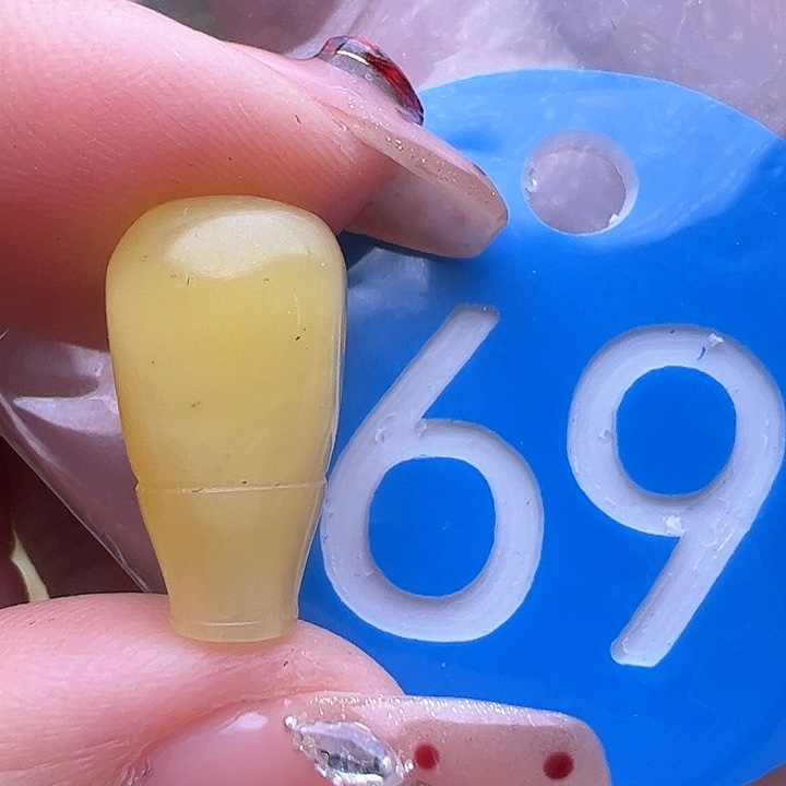 蜜蜡裸石未镶嵌微瑕 9mm三通