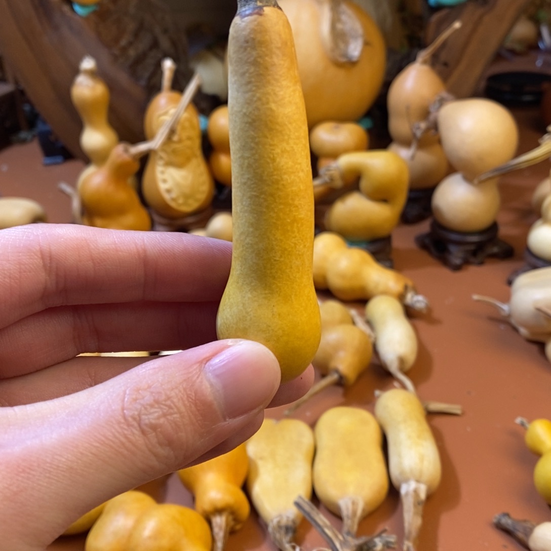 茶***货教练教练教练教练经理