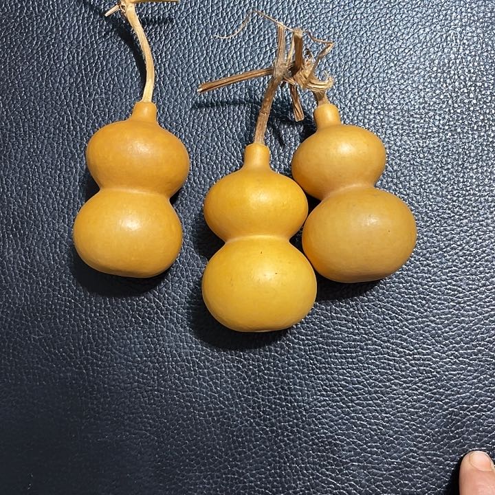 年*葫芦葫芦葫芦葫芦葫芦