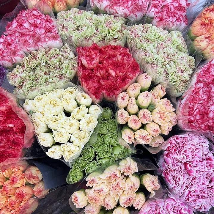 杂色康乃馨颜色可备注20支