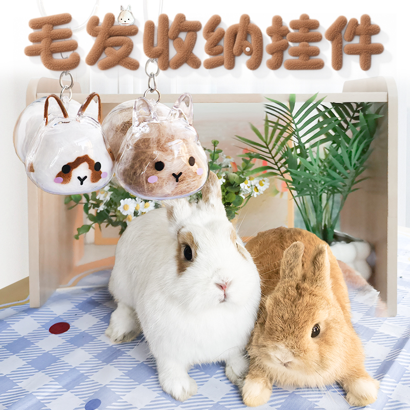 兔兔毛发透明收纳挂件兔子形状扭蛋挂件装饰纪念防尘盒收集玩具