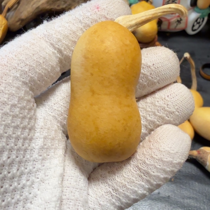 ᦔ***霖6666666666666677777