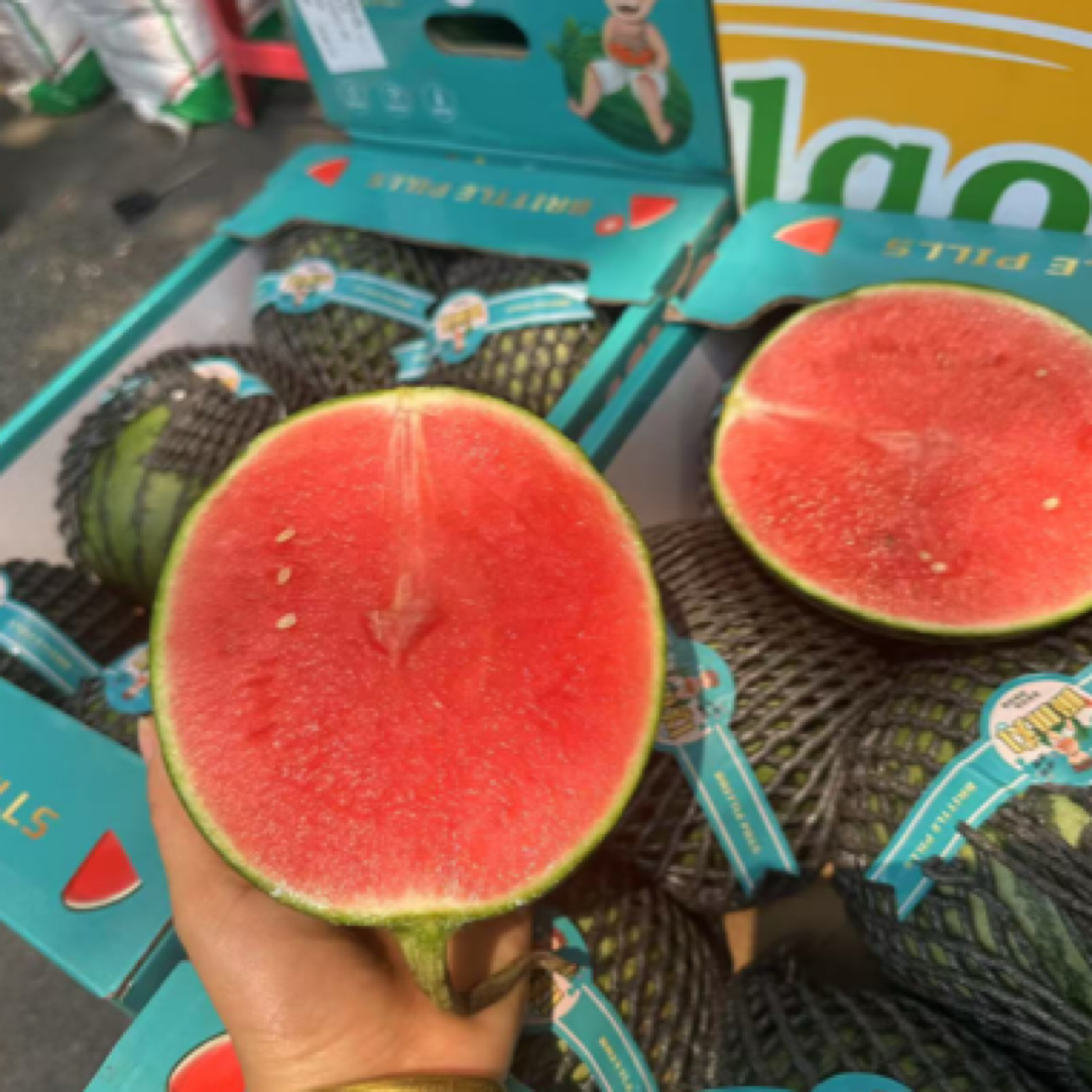 口口脆小吊瓜（西瓜）6个一件3公斤云南省