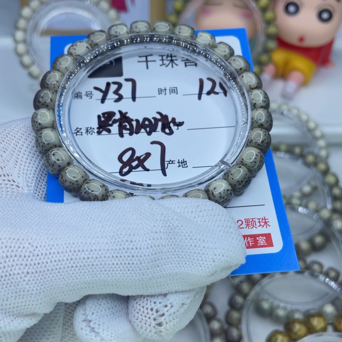 菩提籽类Y37黑背河豚