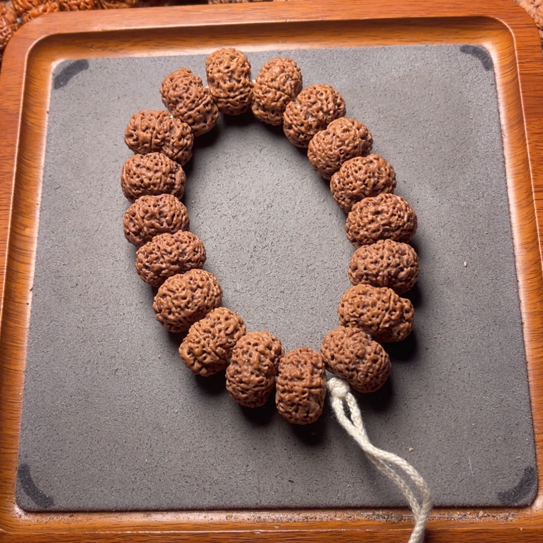 菩提9号金刚菩提蜂王夹板21