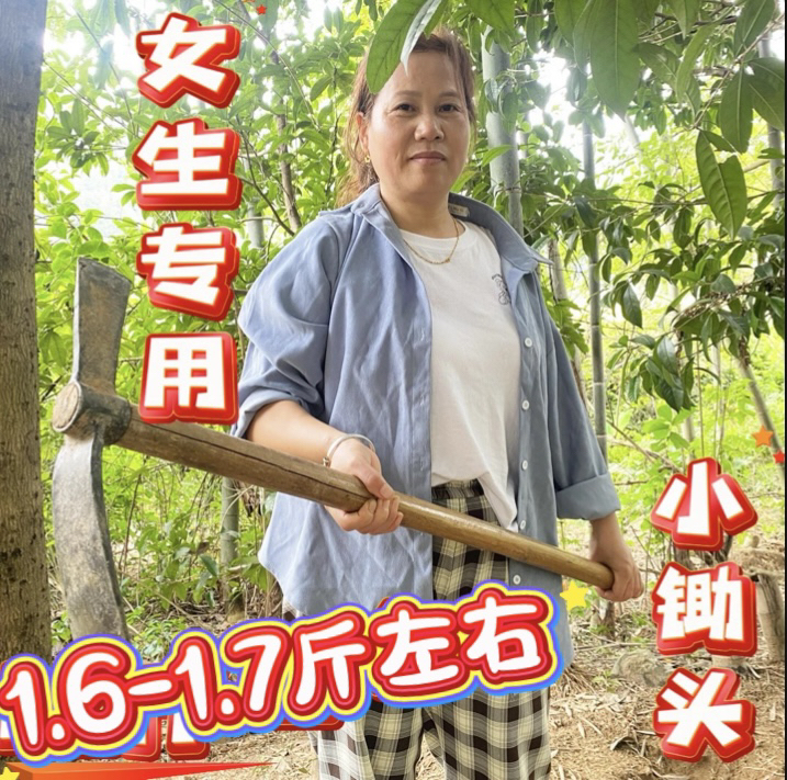女生专用小锄头手工锻打全钢挖地挖桩挖砍两用户外江西农家纪实