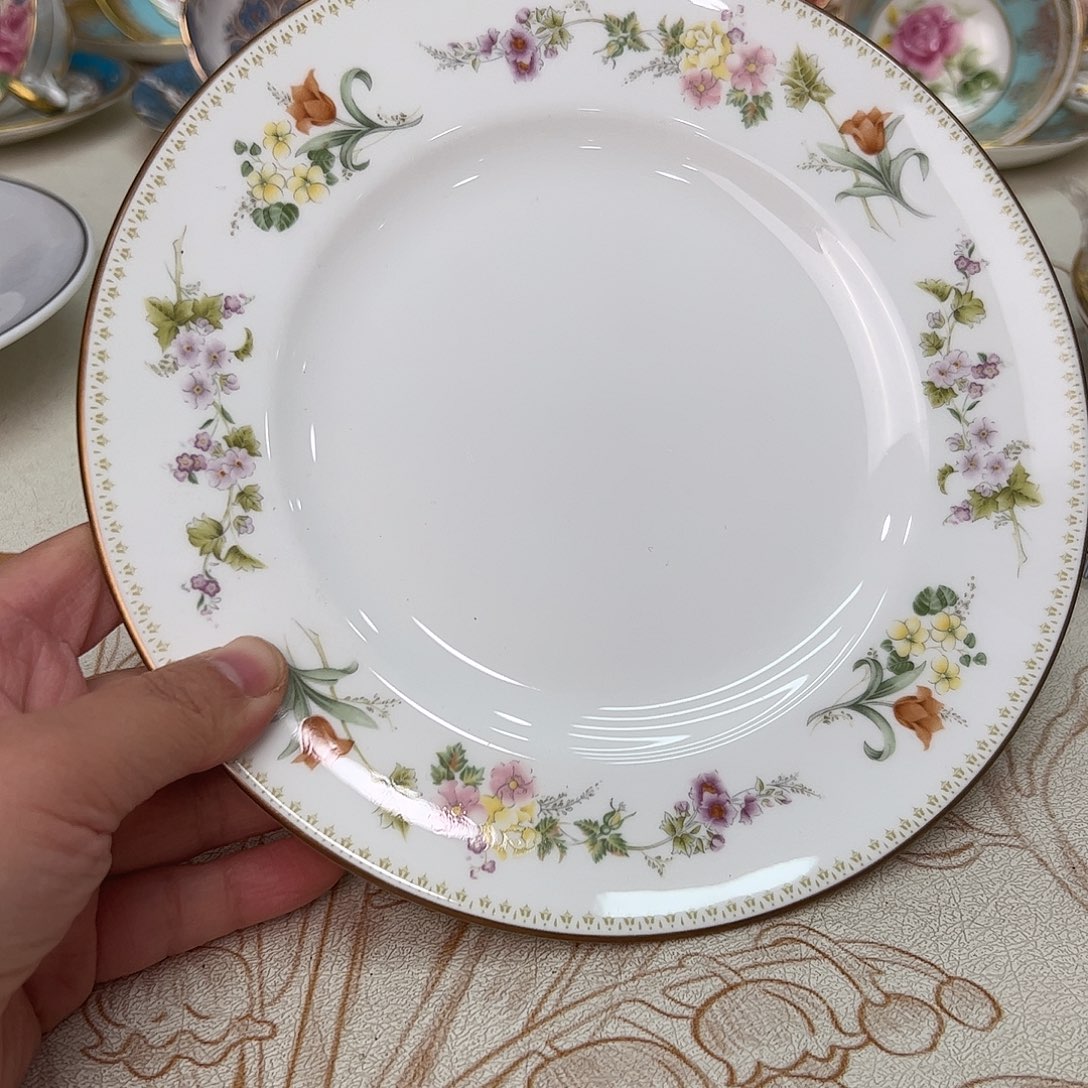 盘维多利亚欧洲中古