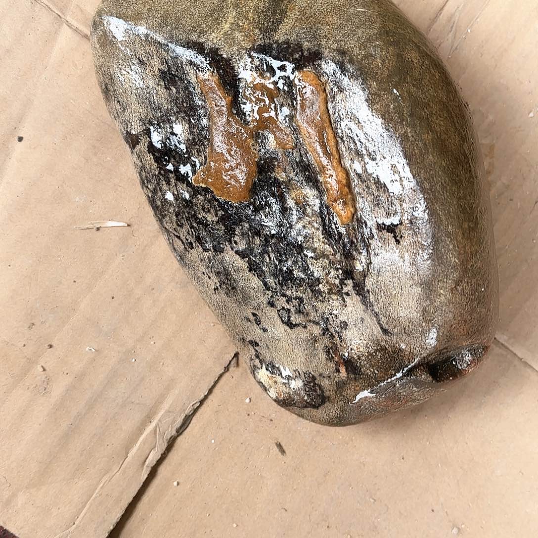 A***哥三清山米粒石工艺品