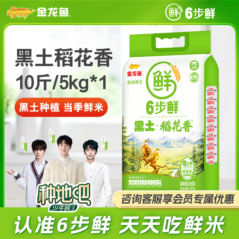 金龙鱼【明星同款】6步鲜黑土稻花香大米10斤五常大米口感有回甘