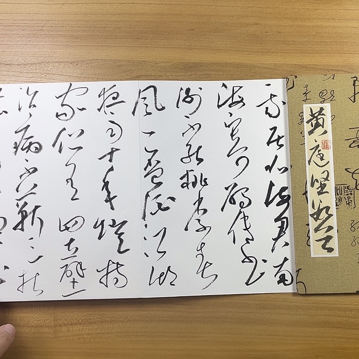 书法中书协会员作品