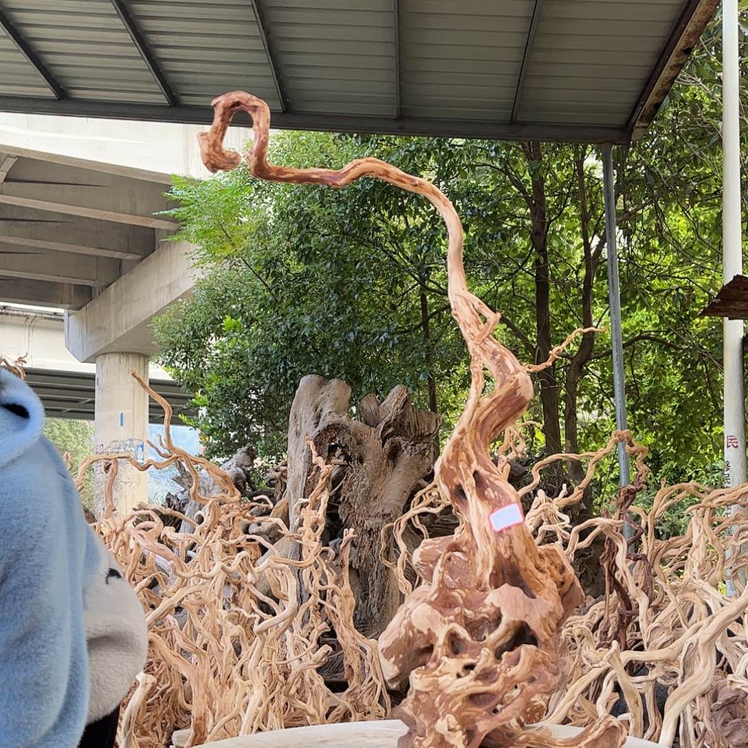 枭***景木我是一只小小鸟地域鬼