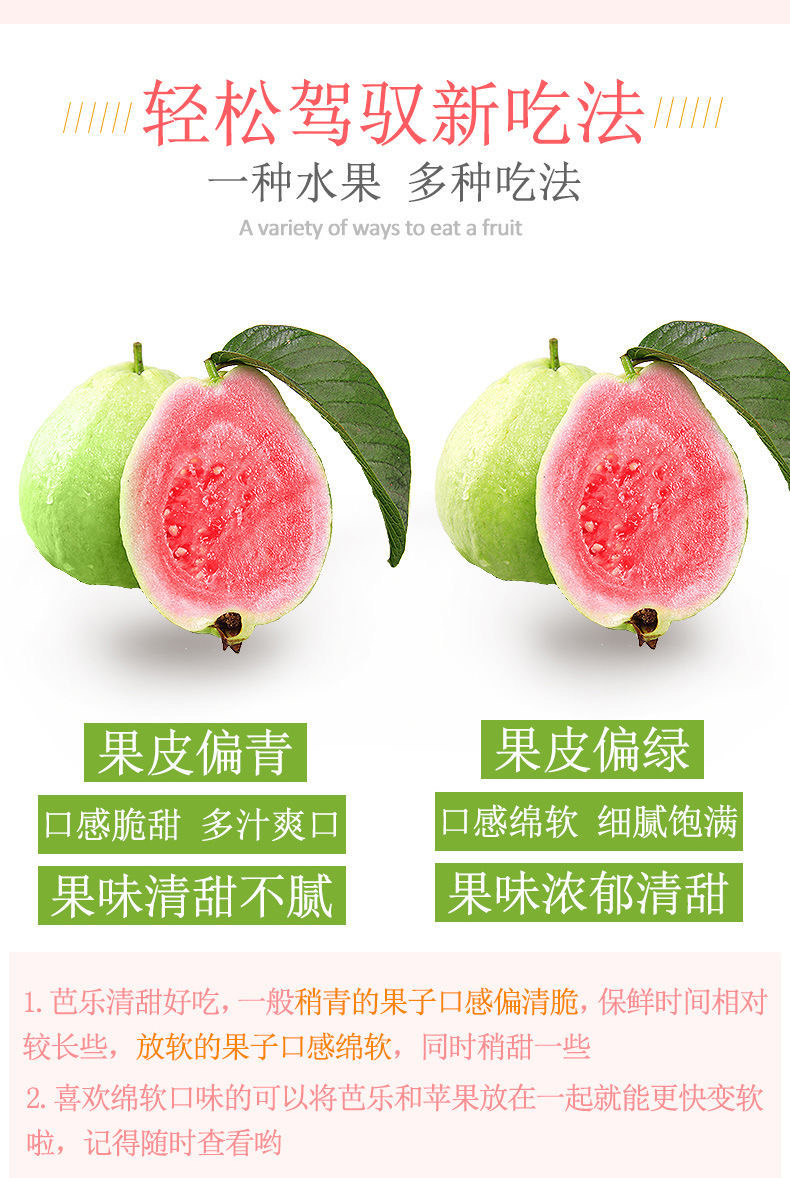（顺丰包邮）攀枝花米易芭乐红心芭乐番石榴正宗红心蕃石榴水果