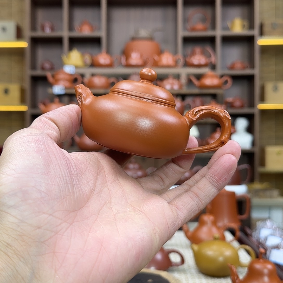 紫砂茶壶潮州手拉壶容天花器