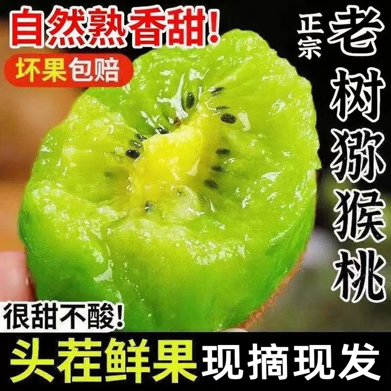 【现摘现发】正宗绿心猕猴桃头茬新果新鲜采摘孕妇可食奇异果ZZZ