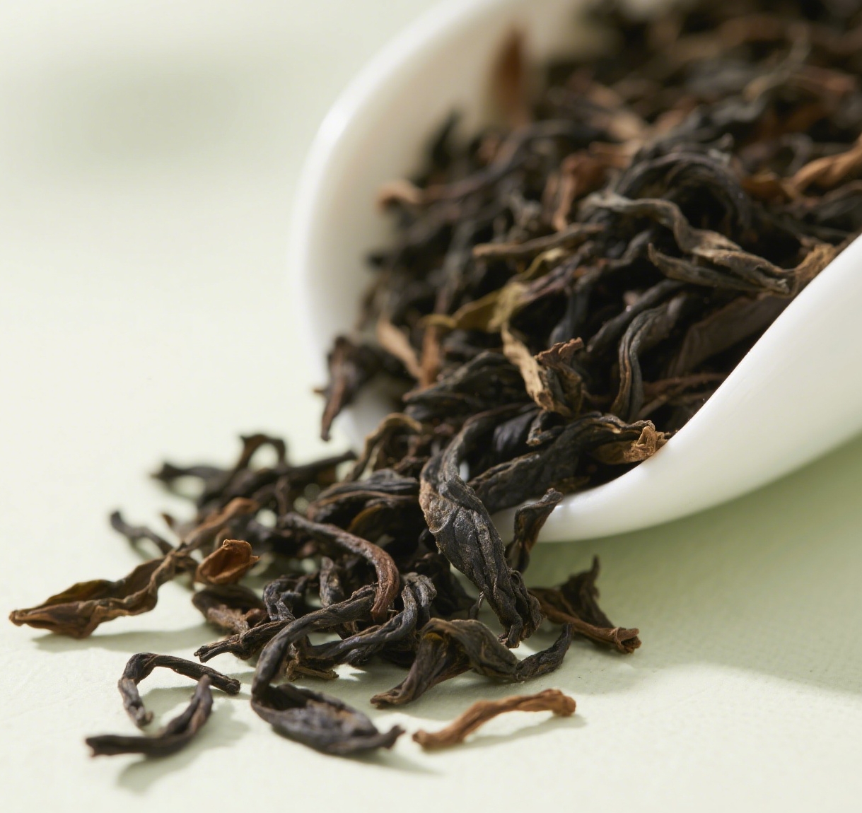 2025年向家2100米千年保护单株古树普洱散茶（970）