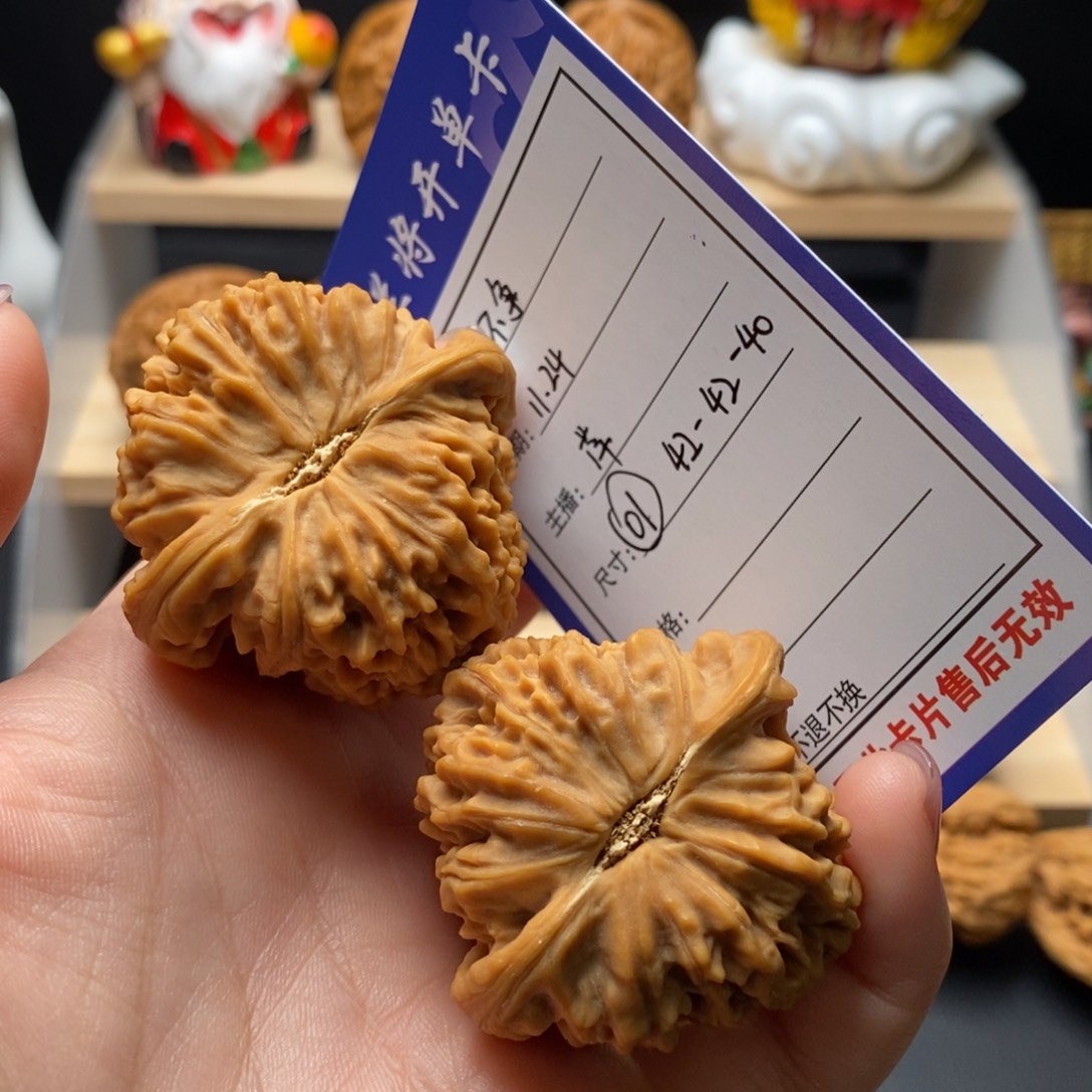 不***争麻团（42-42-40）主筋一致