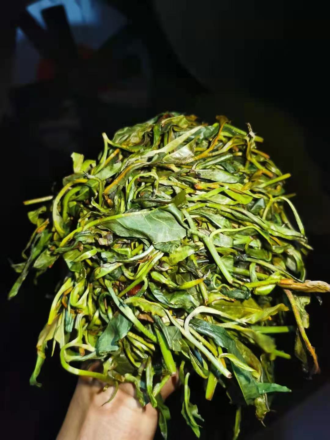 2023年百花潭春普洱生茶饼100g