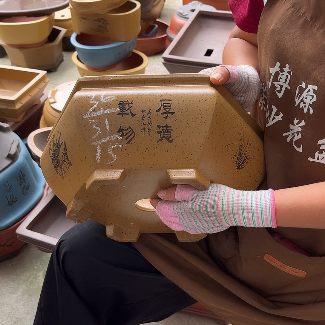 紫砂花盆盆景艺术