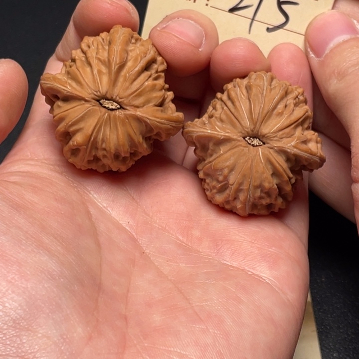 把件文玩核桃磨盘39尺全品白茬215